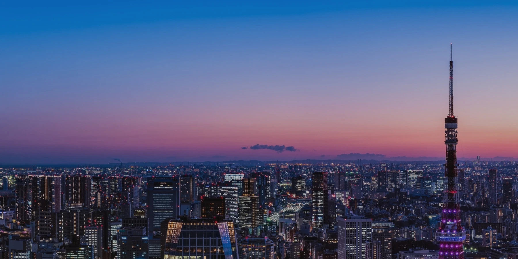 CHILLAXY公式サイトでCOA解説や店舗情報を確認するイメージ写真